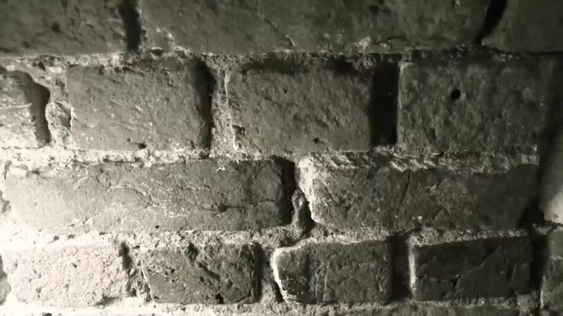 Свобода в клубах русские как норманны