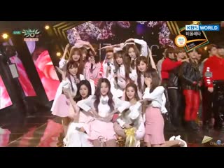 190412 izone (아이즈원) win #1 with violeta (비올레타) on music bank encore