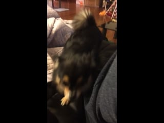 Amber's snapchat (151221)