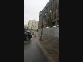 Live гбр зоозащита