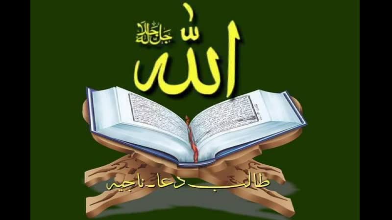 За коран, мы получаем нобелевские премии