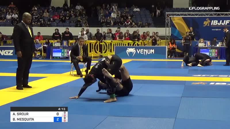 Beatriz mesquita vs ana viera world nogi 2018