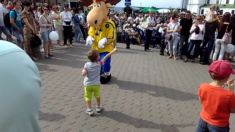Дзень швецыі