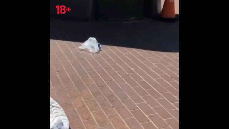 В очередной раз можно убедиться, пиндосия свободная страна!