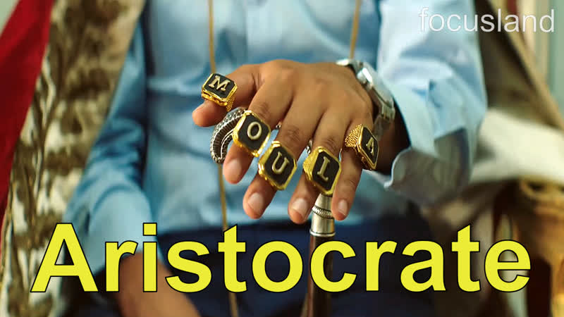 Heuss lenfoiré aristocrate (focusland)