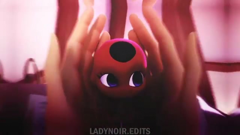 Miraculous ladybug; tikki x plagg