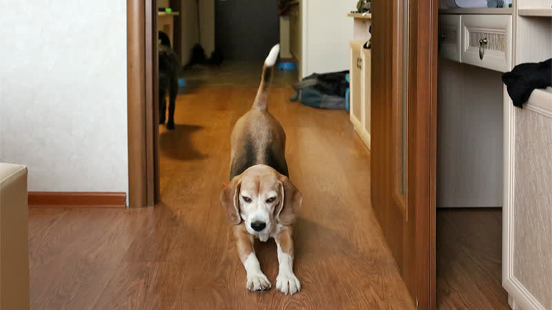 Островок вьетнама апарт отель «ханой москва», центр вьетнамской акупунктуры и фуд корт глазами путешественников с молодые