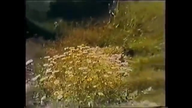 Предсказания пророка из индии об украине, россии и беларуси в 1989 году