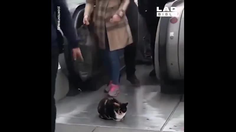 Я вам не мешаю же!