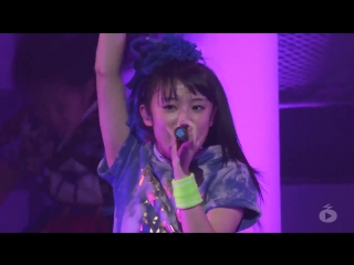 Team syachihoko dakishimete anthem (ore no ebi syachi live cut)