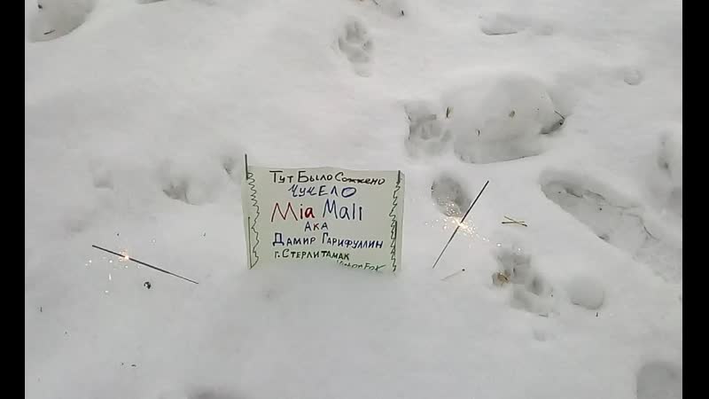 Miamali дамир гарифуллин стерлитамак