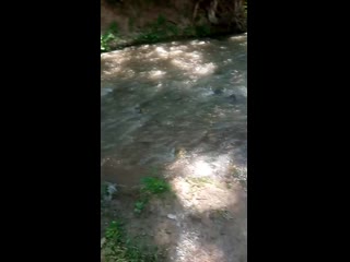 Vid 20200716 110510 mp4