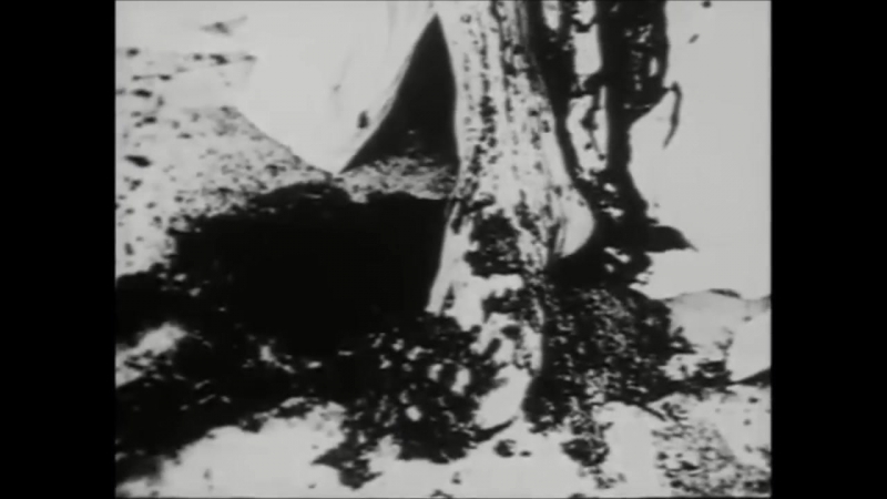 Illum adora begotten (2015)