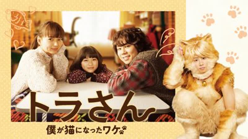Тора сан(2019) tora san (tiger my life as a cat)