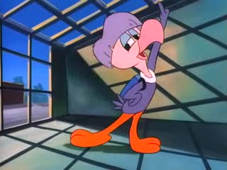 Tiny toon adventures s01e23 wake up call of the wild