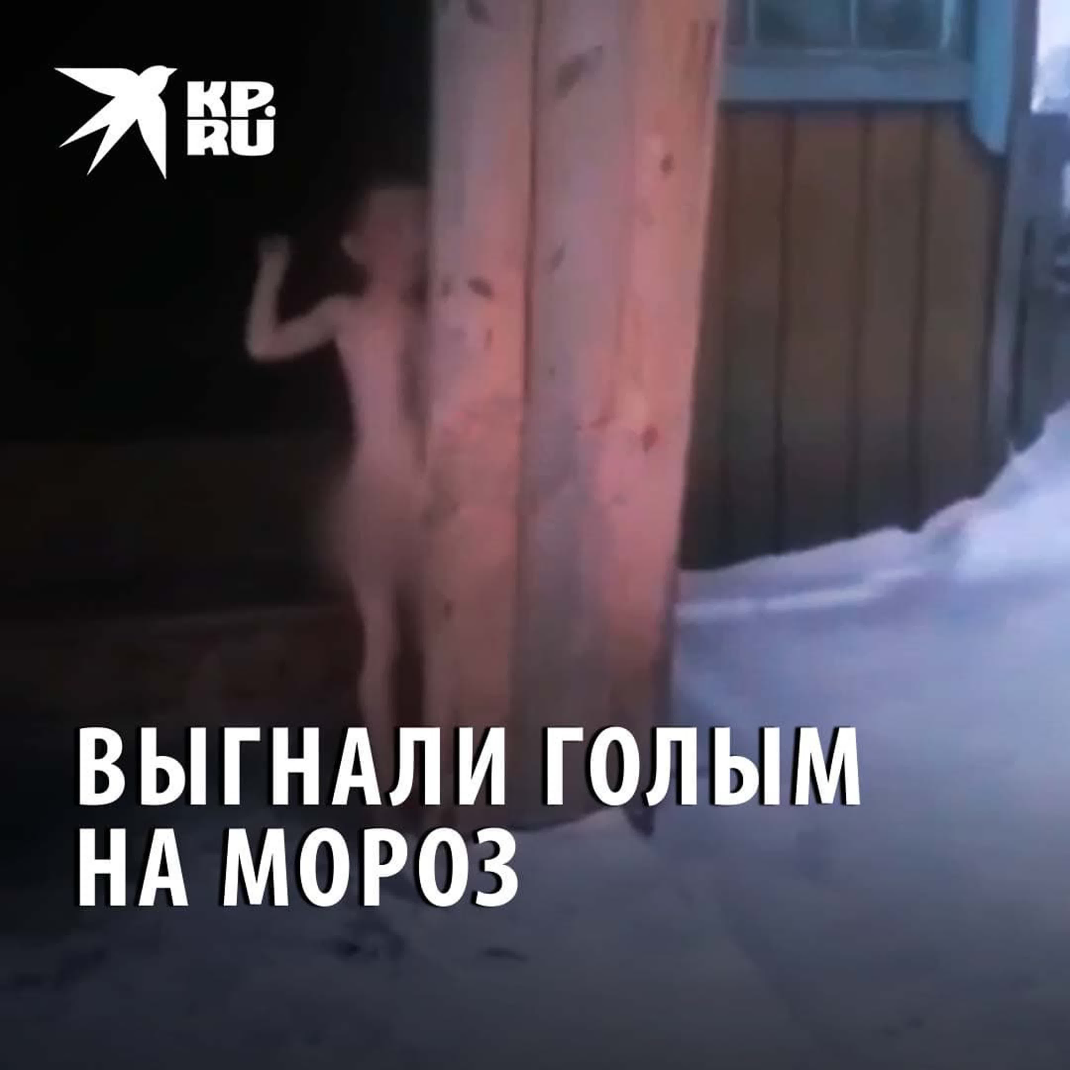 авто порно извращения 