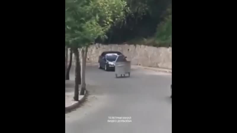 Мусорный бак навёл шороху