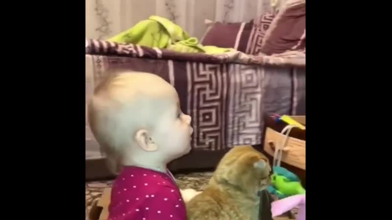 Какие молодцы, летние сани