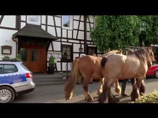 Mord mit aussicht s02e02 porn in hengasch