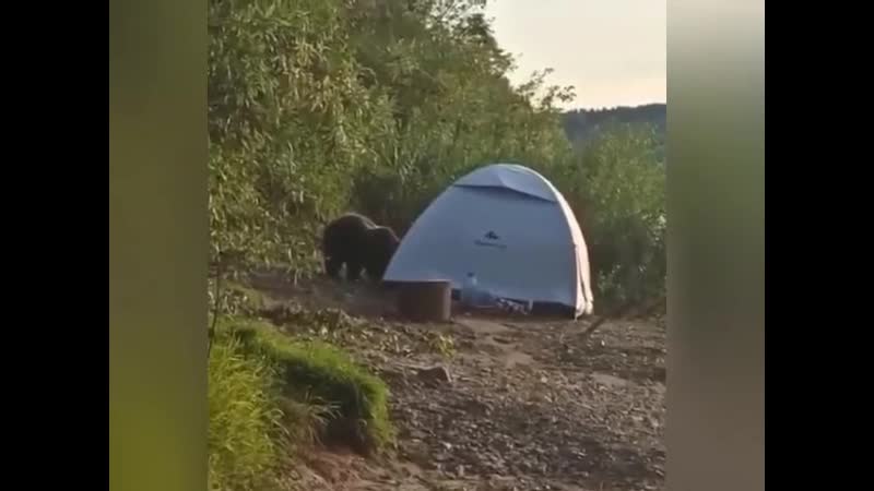 Собрал палатку