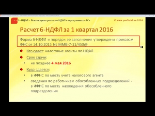 Форма 6 ндфл, какие данные и в каких разделах отражаются