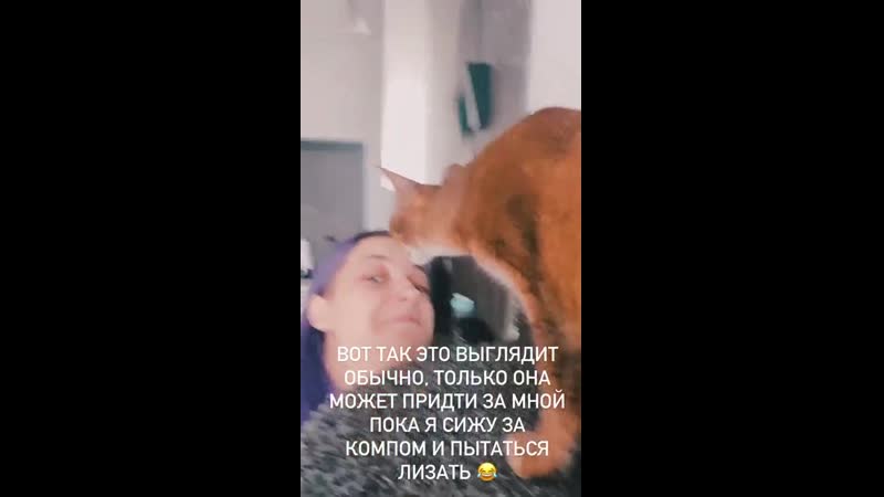 Санса и тилльняшка