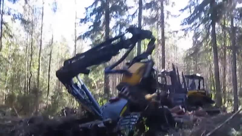 Ponsse ergo stuck!