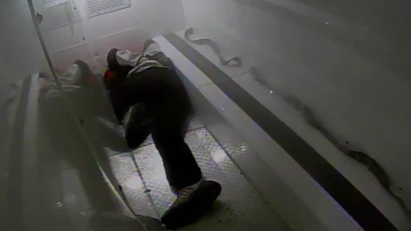 Пиндосная транспортироа правонарушителя