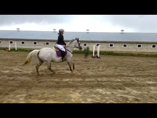 18 20200718 drozdova polina 100