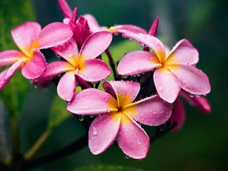 Наблюдай точку слияния двух дыханий