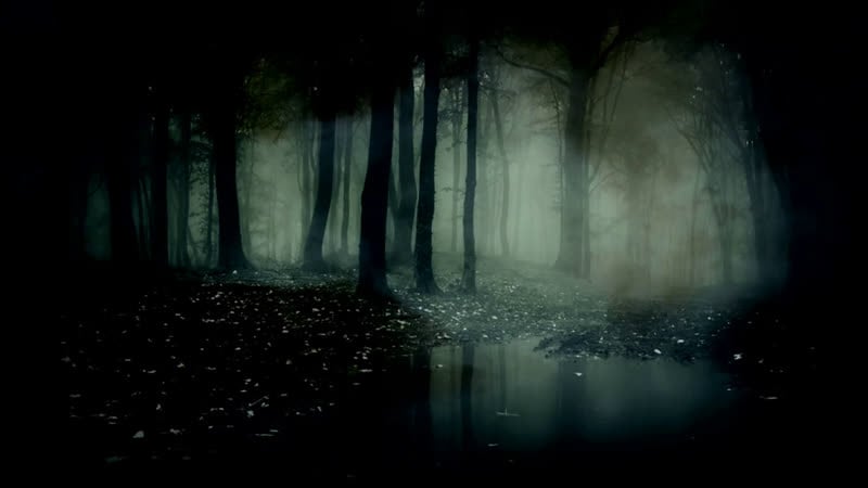 Хоррор palmyra orphanage | всё в дерьме