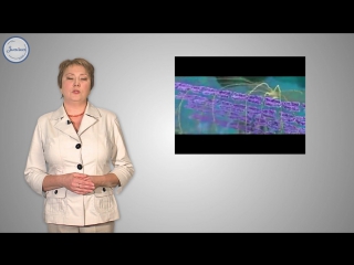 8 химический состав и жизнедеятельность клетки