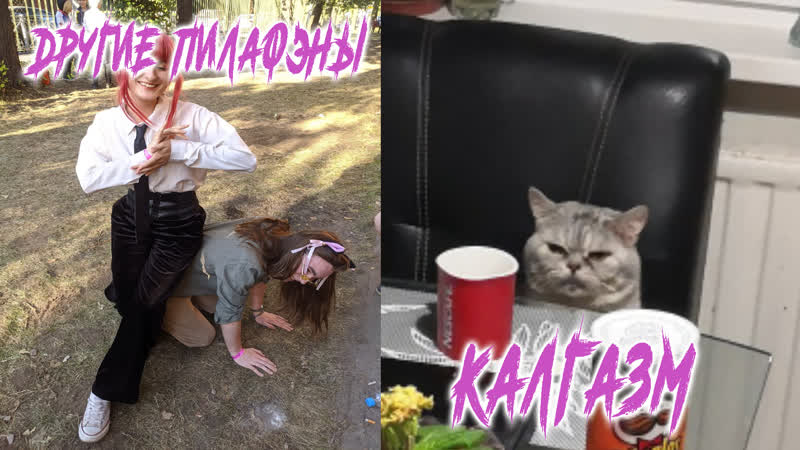 Мама я беременна человеком ленточная пилорама «тайга т 1м» или просто нытьё