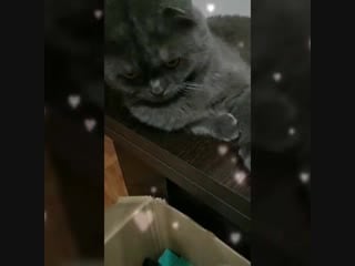 Trim 20190131 135451 mp4