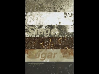 6 я стадия сахара the 6th stage of sugar (2013)