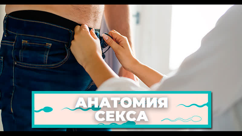 «анатомия секса» основы орального секса