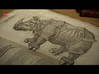 Дэвид аттенборо загадки природы 2 й сезон 2 я серия молодые в броне / david attenborough's natural curiosities (2014)