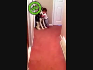 Koter is bang voor stofzuiger