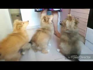 Кушаем full hd 1080p mp4