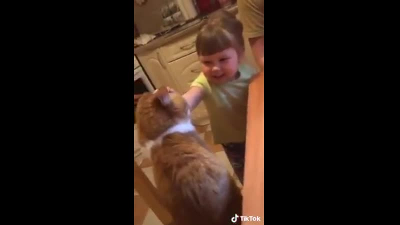 Рыжая морда