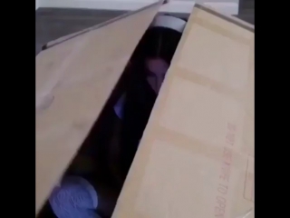 Мечта геймера🤓