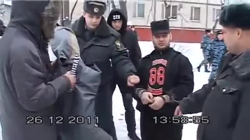 Скинхед никола королёв