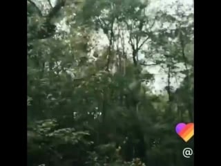 From janete crosa instagram 05 04 18