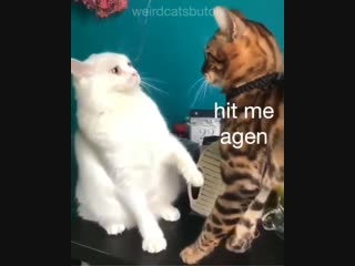 Ну давай, ударь меня еще раз (vhs video)