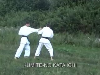 Seibukai kempo kumite kata 1 flv