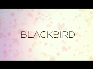 Ocean high "blackbird" album teaser