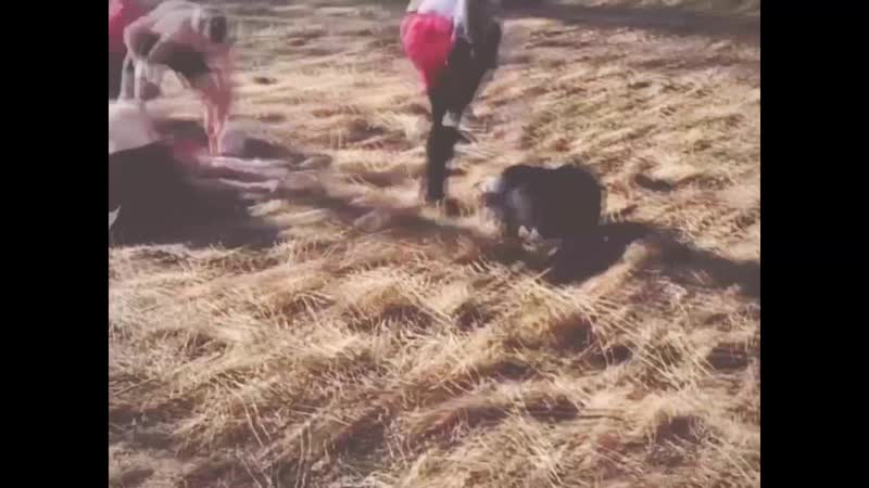 Џlтrλirθst | ripovets ? (скучали по мне?)