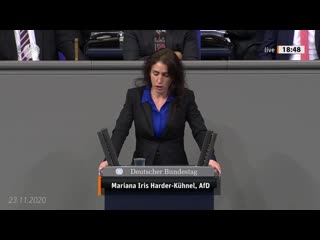 Emotionen, kurioses und klare kante best of der afd im deutschen bundestag 2020