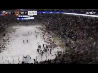 Hershey bears fans set world record by showering the ice with teddy bears to be donated to charities before the holidays