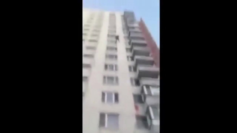 Сиди дома, не ходи никуда © видеожесть